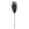 Plumeau à caresses Peacock Tickler - Taboom