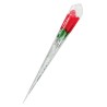 Rose surprise avec petite culotte - Fun Novelties
