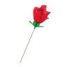 Rose surprise avec petite culotte - Fun Novelties