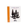 Set plaisir anal 4 accessoires